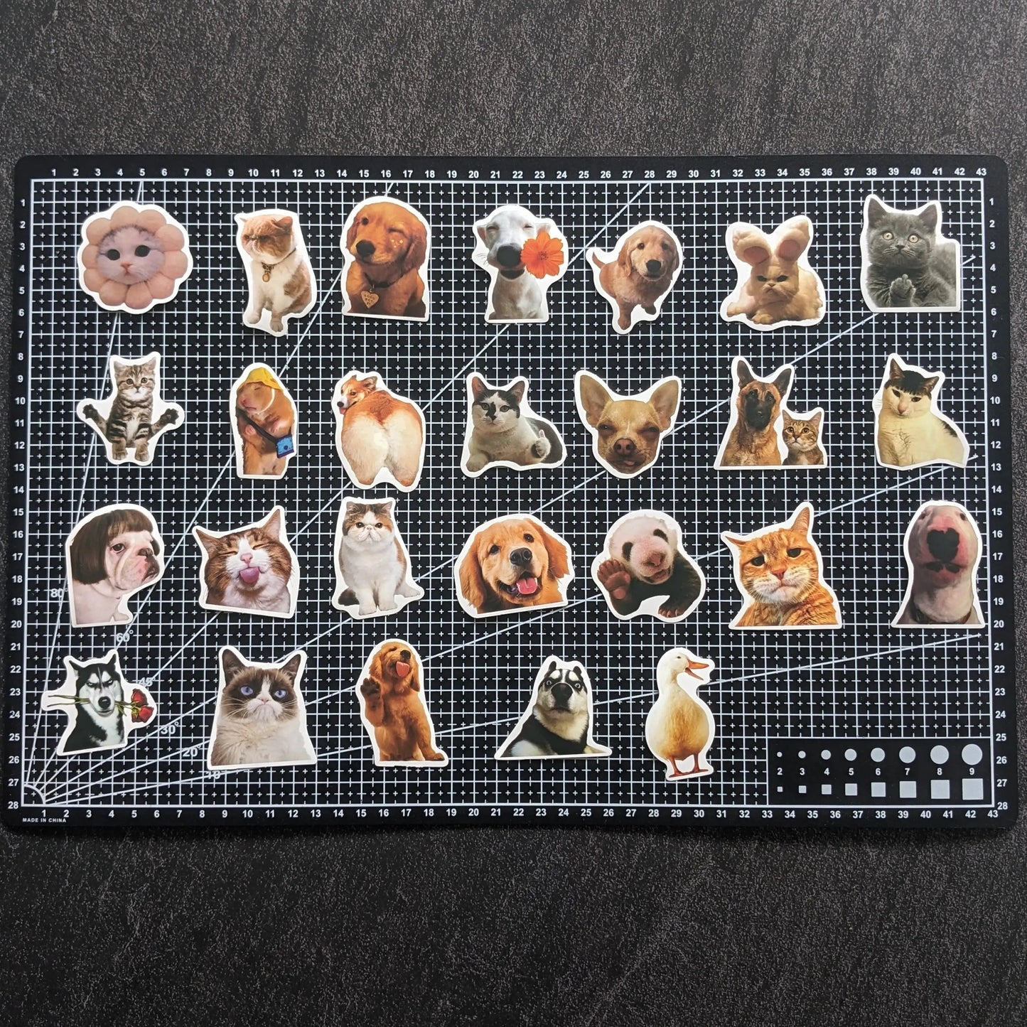 CAT & DOG MEME FACE PACK | 50 STICKERS StickerWorld