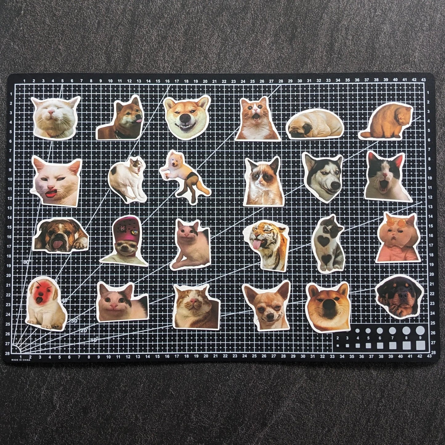 CAT & DOG MEME FACE PACK | 50 STICKERS StickerWorld