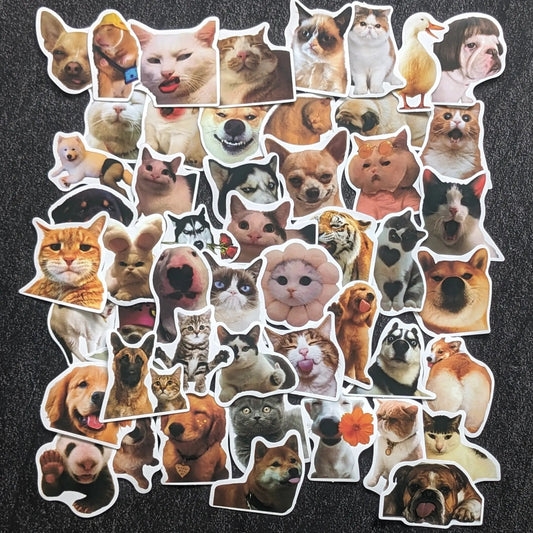 CAT & DOG MEME FACE PACK  | 50 STICKERS StickerWorld